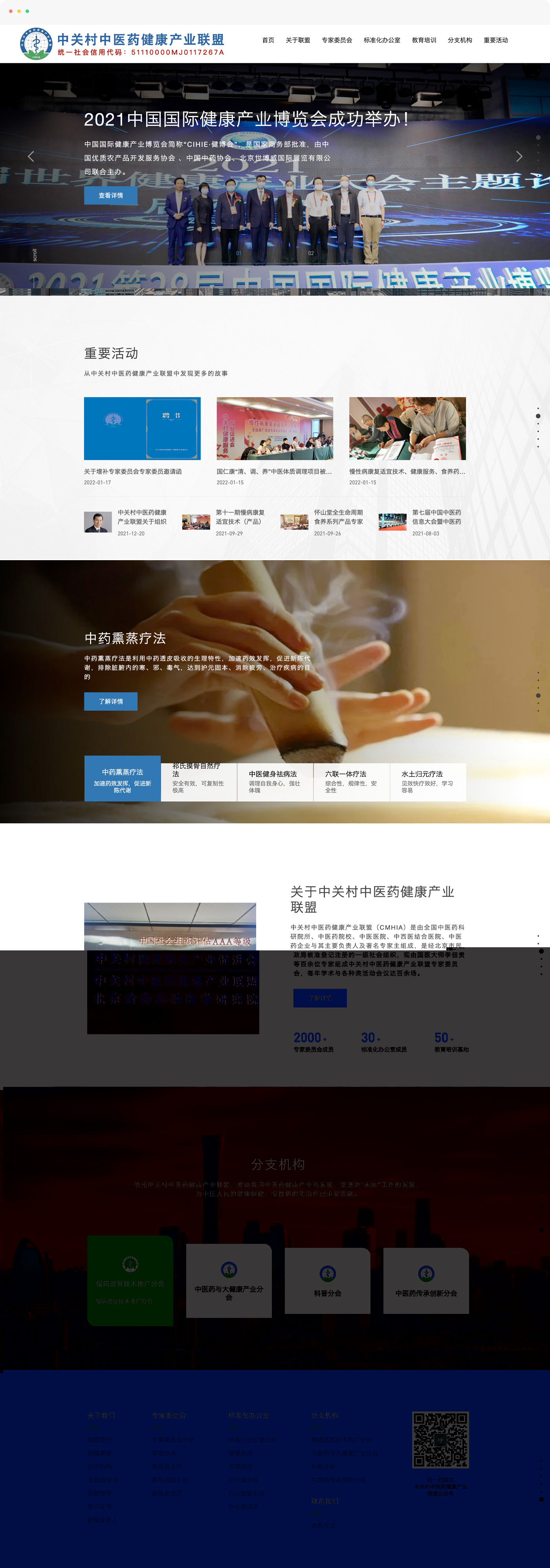 中医药网站建设